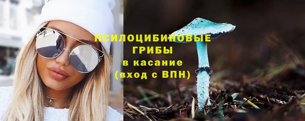 дмт Тында