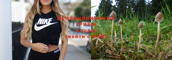 каннабис Белокуриха
